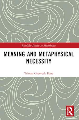 Meaning and Metaphysical Necessity