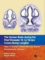 The Human Brain during the First Trimester 15- to 18-mm Crown-Rump Lengths
