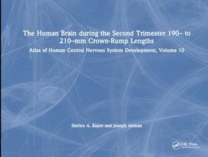 The Human Brain during the Second Trimester 190– to 210–mm Crown-Rump Lengths