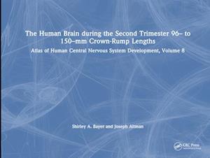 The Human Brain during the Second Trimester 96– to 150–mm Crown-Rump Lengths