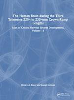 The Human Brain during the Third Trimester 225– to 235–mm Crown-Rump Lengths
