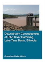 Downstream Consequences of Ribb River Damming, Lake Tana Basin, Ethiopia