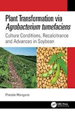 Plant Transformation via Agrobacterium Tumefaciens