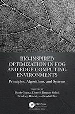 Bio-Inspired Optimization in Fog and Edge Computing Environments