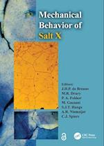 The Mechanical Behavior of Salt X