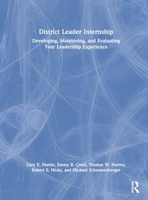 District Leader Internship