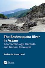 The Brahmaputra River in Assam