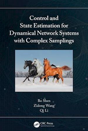 Control and State Estimation for Dynamical Network Systems with Complex Samplings