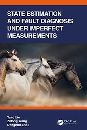 State Estimation and Fault Diagnosis Under Imperfect Measurements