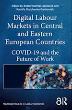 Digital Labour Markets in Central and Eastern European Countries