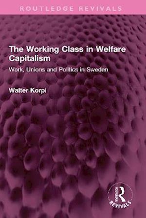 The Working Class in Welfare Capitalism