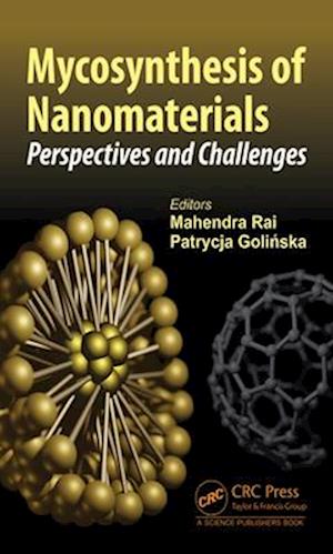 Mycosynthesis of Nanomaterials