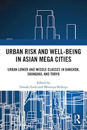 Urban Risk and Well-Being in Asian Megacities