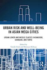 Urban Risk and Well-Being in Asian Megacities