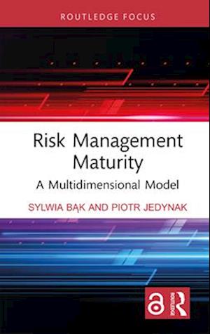 Risk Management Maturity