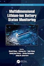 Multidimensional Lithium-Ion Battery Status Monitoring