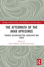 The Aftermath of the Arab Uprisings