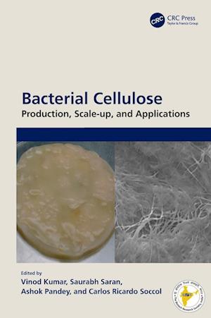 Bacterial Cellulose