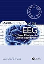 Making Sense of the EEG