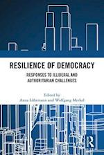 Resilience of Democracy