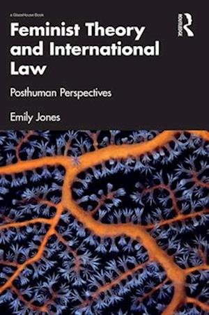 Feminist Theory and International Law
