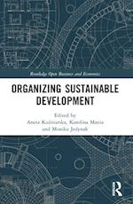 Organizing Sustainable Development