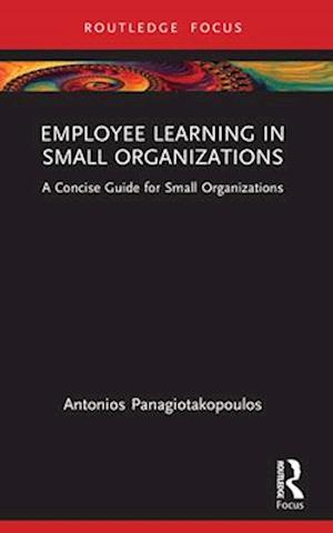 Employee Learning in Small Organizations