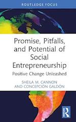 Promise, Pitfalls, and Potential of Social Entrepreneurship