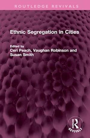 Ethnic Segregation in Cities