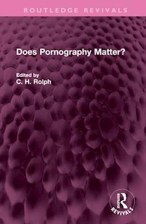 Does Pornography Matter?