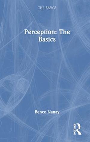 Perception: The Basics