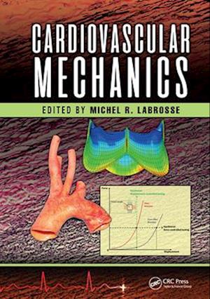 Cardiovascular Mechanics