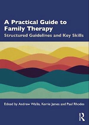 A Practical Guide to Family Therapy
