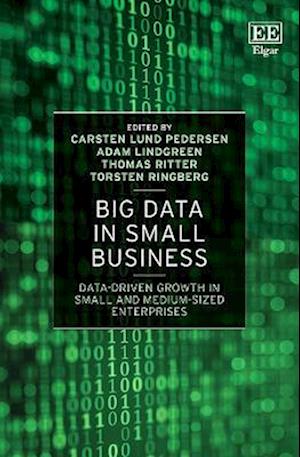 Big Data in Small Business