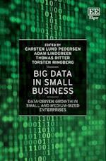 Big Data in Small Business
