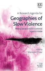 A Research Agenda for Geographies of Slow Violence