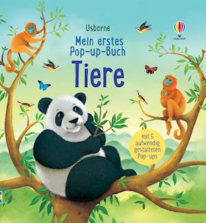 Mein erstes Pop-up-Buch: Tiere