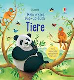 Mein erstes Pop-up-Buch: Tiere