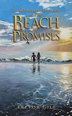 Dr Rudyard Turnstone and the Beach of Promises