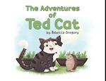 The Adventures of Ted Cat