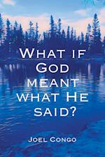 What if God Meant What He Said?