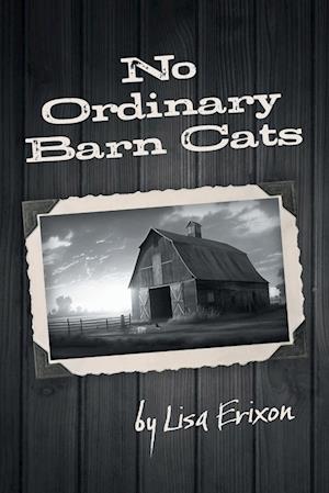 No Ordinary Barn Cats