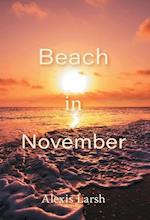 Beach in November