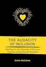 The Audacity of Inclusion