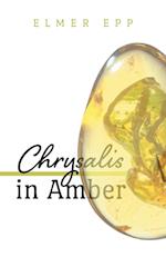 Chrysalis In Amber 