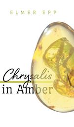 Chrysalis In Amber 