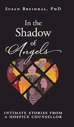 In the Shadow of Angels