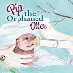 Pip the Orphaned Otter 