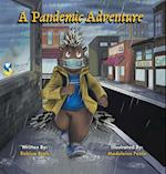 A Pandemic Adventure 