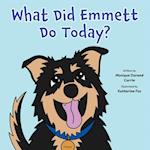 What Did Emmett Do Today? 